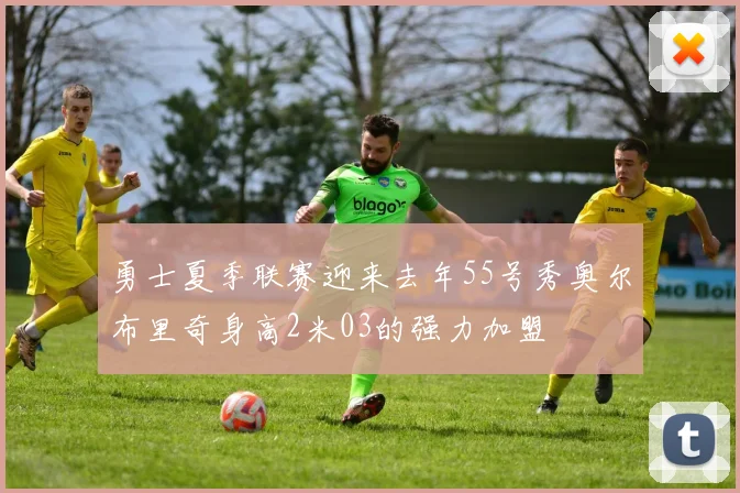 勇士夏季联赛迎来去年55号秀奥尔布里奇身高2米03的强力加盟