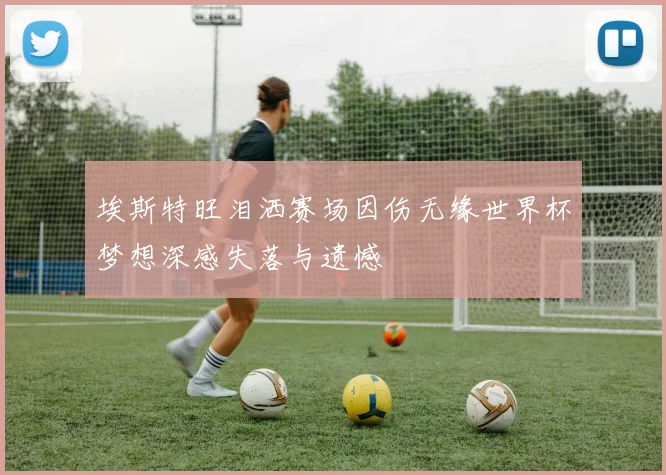 埃斯特旺泪洒赛场因伤无缘世界杯梦想深感失落与遗憾